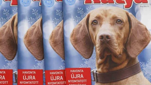 Media1.hu