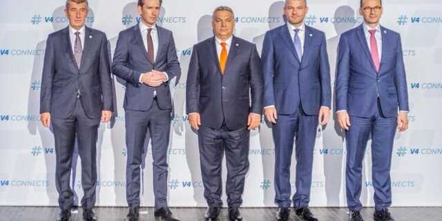 Veszpremkukac.hu