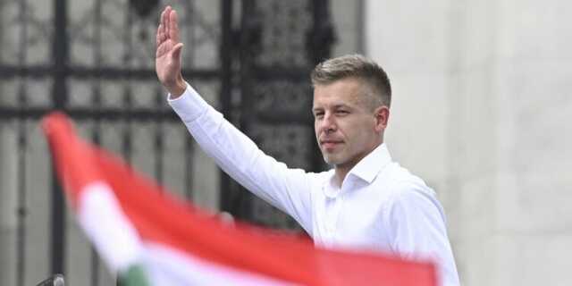 Veszpremkukac.hu