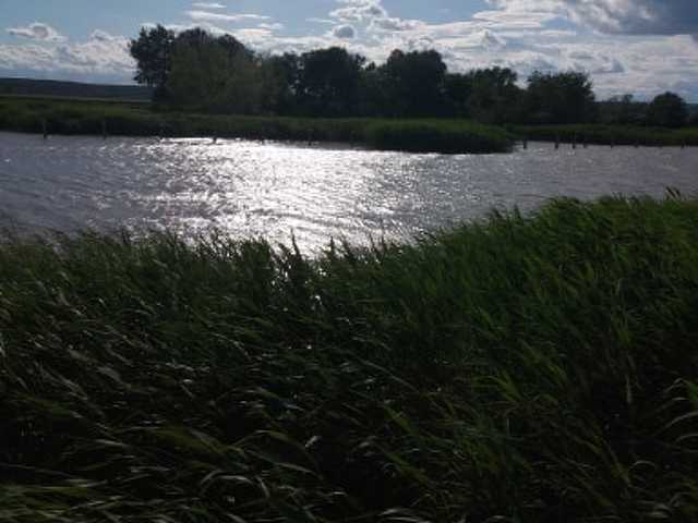 Nyugat.hu