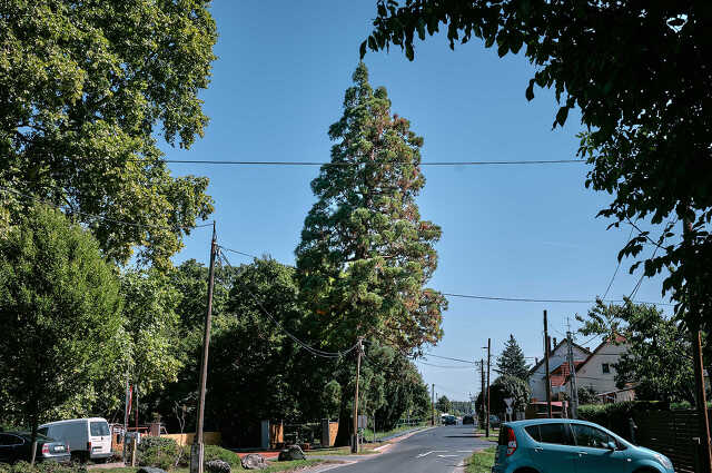 Nyugat.hu