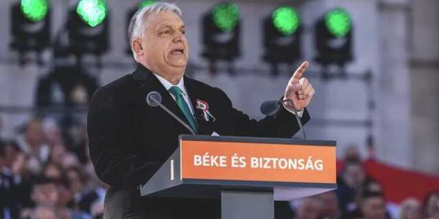 Veszpremkukac.hu