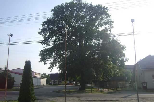 Szol24.hu