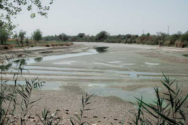 Szegeder.hu