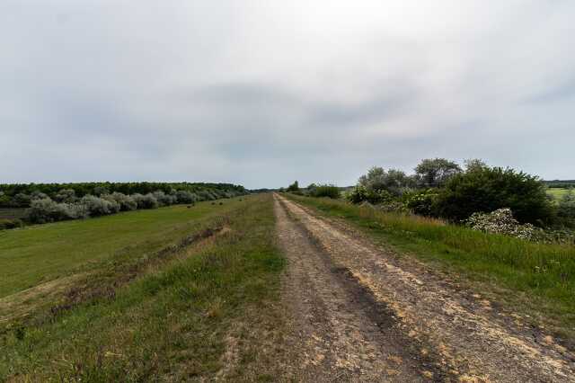 Szegeder.hu
