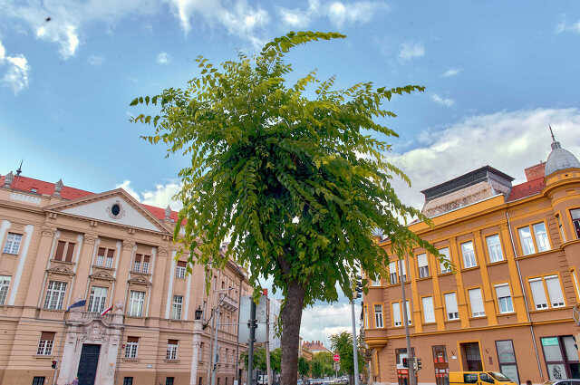 Nyugat.hu