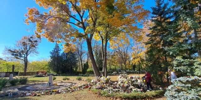 Veszpremkukac.hu