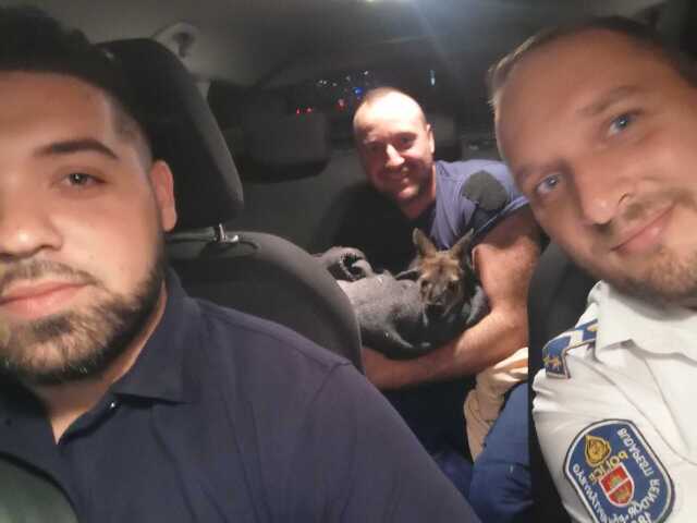 Nyugat.hu