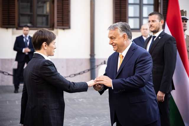 Veszpremkukac.hu