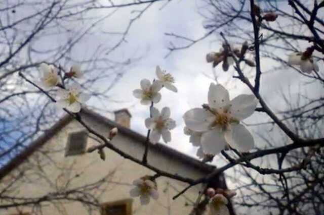 Nyugat.hu