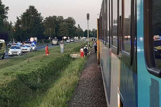 Szol24.hu